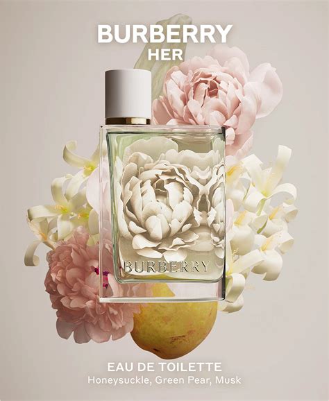 burberry her garden party fragrantica|burberry eau de toilette 2022.